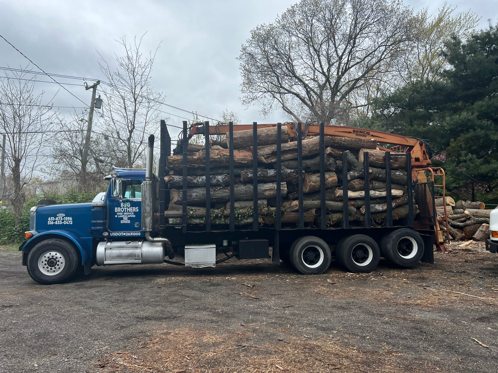 Big Brothers Tree Service Image